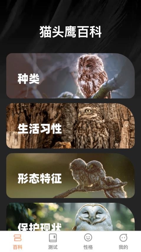 猫头鹰趣识官网版