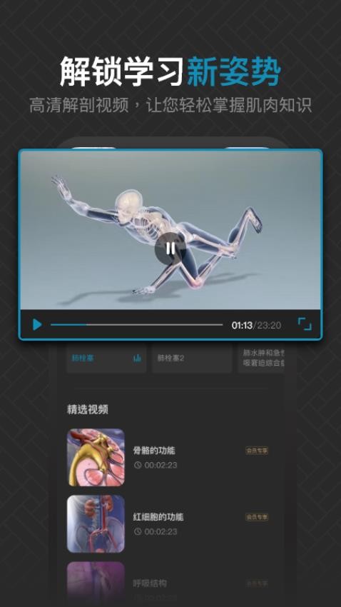 3D肌肉解剖软件