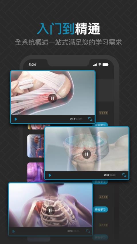 3D肌肉解剖软件
