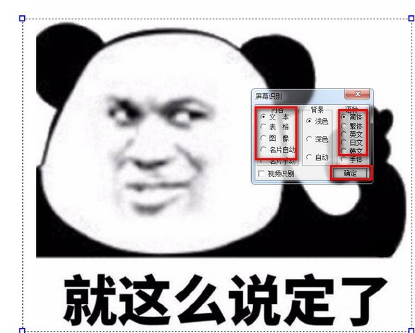 coco图像识别 