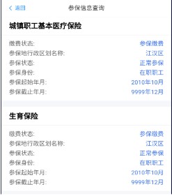湖北智慧医保app