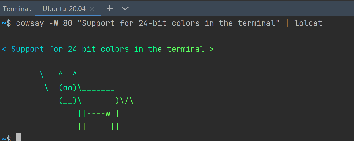 IntelliJ IDEA2021电脑版