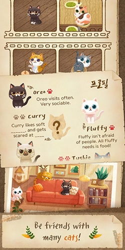 猫咪的秘密森林中文版