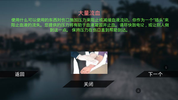 真实泊车2中文版