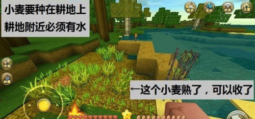 迷你世界四周年版