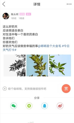 自貢在線aqq最新版本