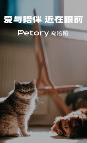 寵陪陪最新版