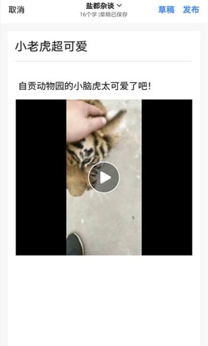 自貢在線aqq最新版本