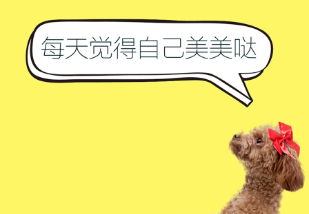 人狗训练翻译器中文版