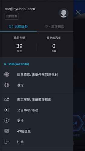 blueLinkAPP