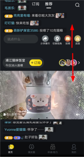 哈啰街猫app
