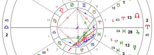 宮神星網(wǎng)手機(jī)版