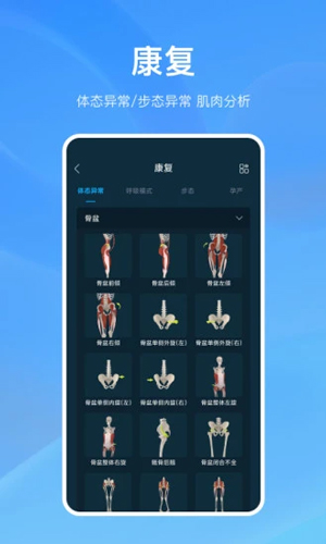 解剖大师app
