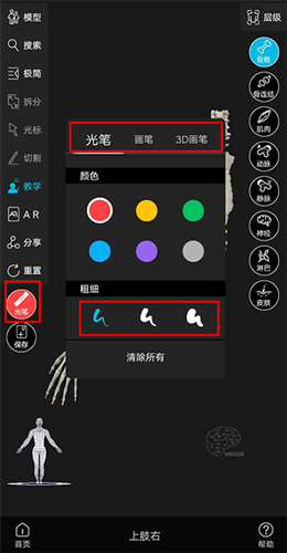 解剖大师app