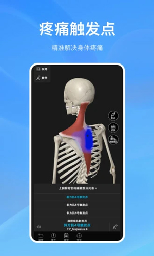 解剖大师app