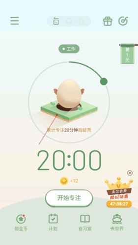 專注崽崽官方正版