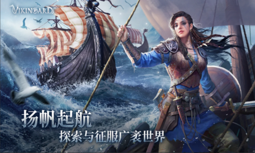 维京之王