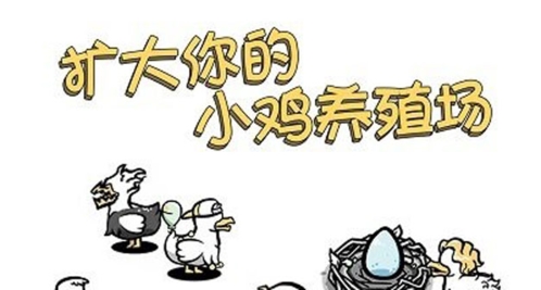 小鸡真奇怪