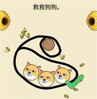 我的狗狗