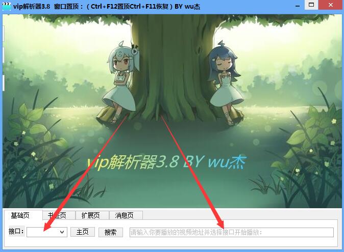wu杰VIP解析器